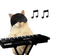 a cat playing a keyboard with music notes