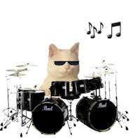 a white cat wearing sunglasses is sitting in front of a drum set