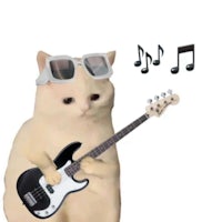 a white cat wearing sunglasses and playing a bass guitar