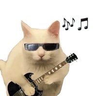 a white cat with sunglasses playing a guitar