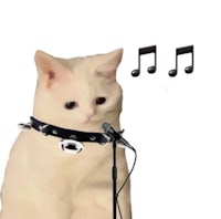 a white cat singing into a microphone